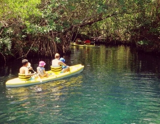 Kayak en manglaternera